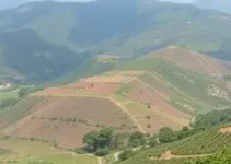 Aunde Brasil Trabalhe Conosco