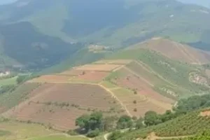 Aunde Brasil Trabalhe Conosco