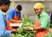 Jovem Aprendiz Caramuru Alimentos 2025