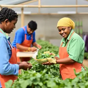 Jovem Aprendiz Caramuru Alimentos 2025