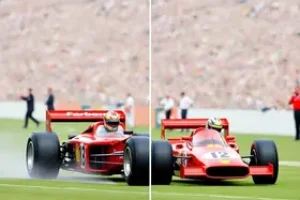 lauda, página e folha