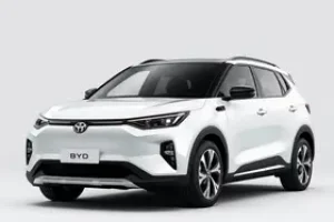 desconto BYD Dolphin Mini