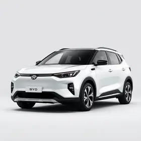 desconto BYD Dolphin Mini
