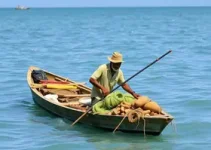 benefício para pescadores