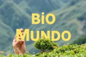 Vagas Abertas Bio Mundo