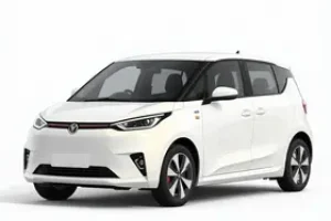 carros elétricos usados