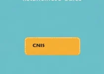 erro no CNIS
