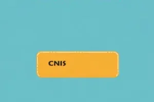 erro no CNIS