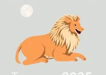 IPTU Timon 2025