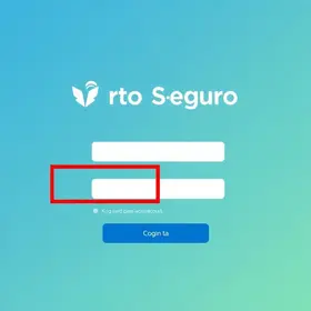 Porto Seguro Entrar