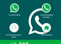 WhatsApp Ministério da Cidadania