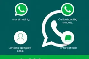 WhatsApp Ministério da Cidadania