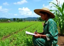 Incra reformas agrárias Jataí