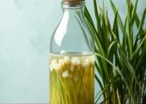 jogar água de arroz no cabelo