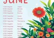 Nomes para Festa Junina