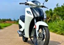 Nova Dafra Zig 50 2025