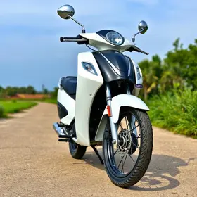 Nova Dafra Zig 50 2025