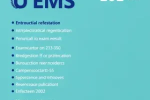 Vestibular UEMS 2025