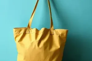 Bolsa Família