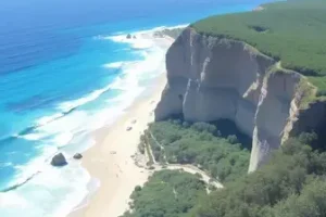 Detran Itapecerica da Serra