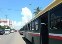 ônibus grátis nas eleições