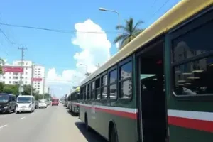 ônibus grátis nas eleições